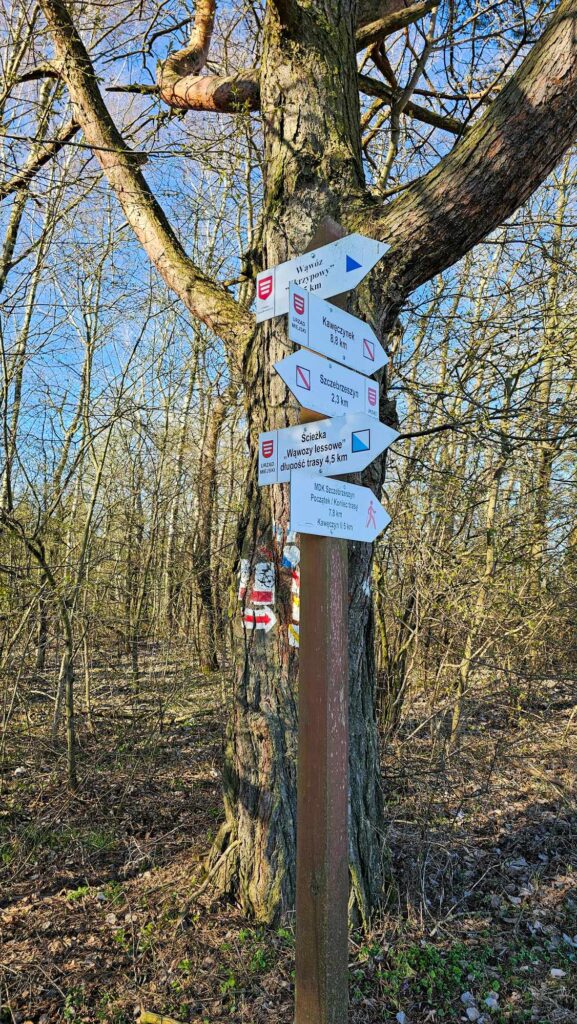 Spacer do Piekiełka i Wąwozu Skrzypowego – Roztocze
