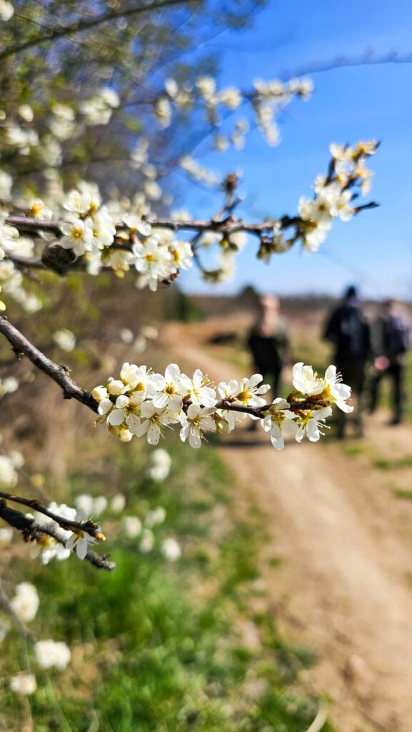 Piekiełko i Wąwóz Skrzypowy – weekend blisko natury
