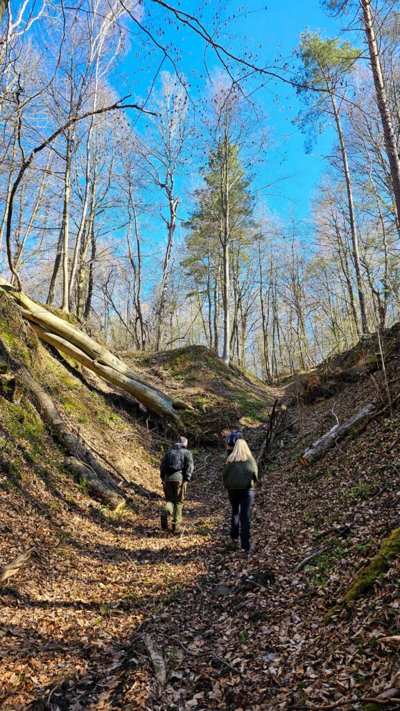 Wejście do Wąwozu Skrzypowego w Szczebrzeszynie – zacieniona ścieżka wśród drzew