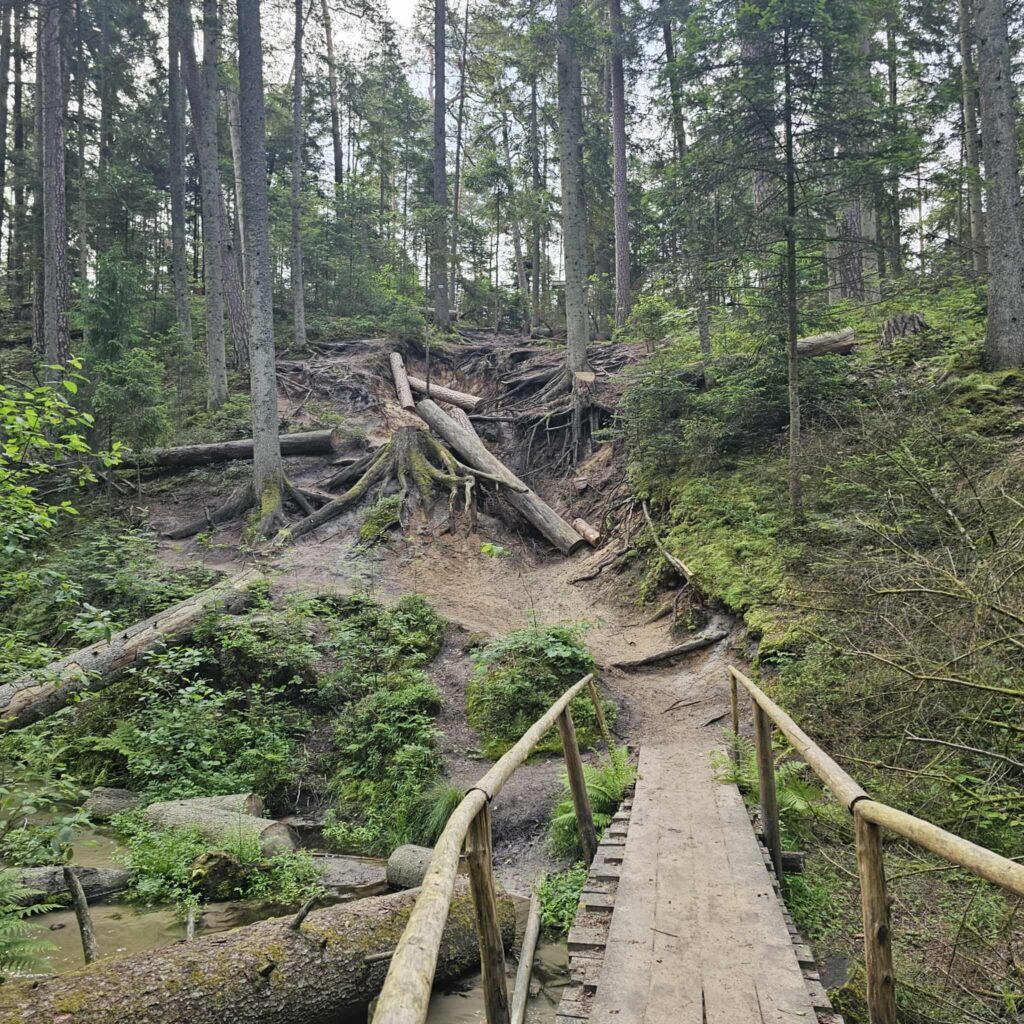 Roztocze – natura bez filtrów