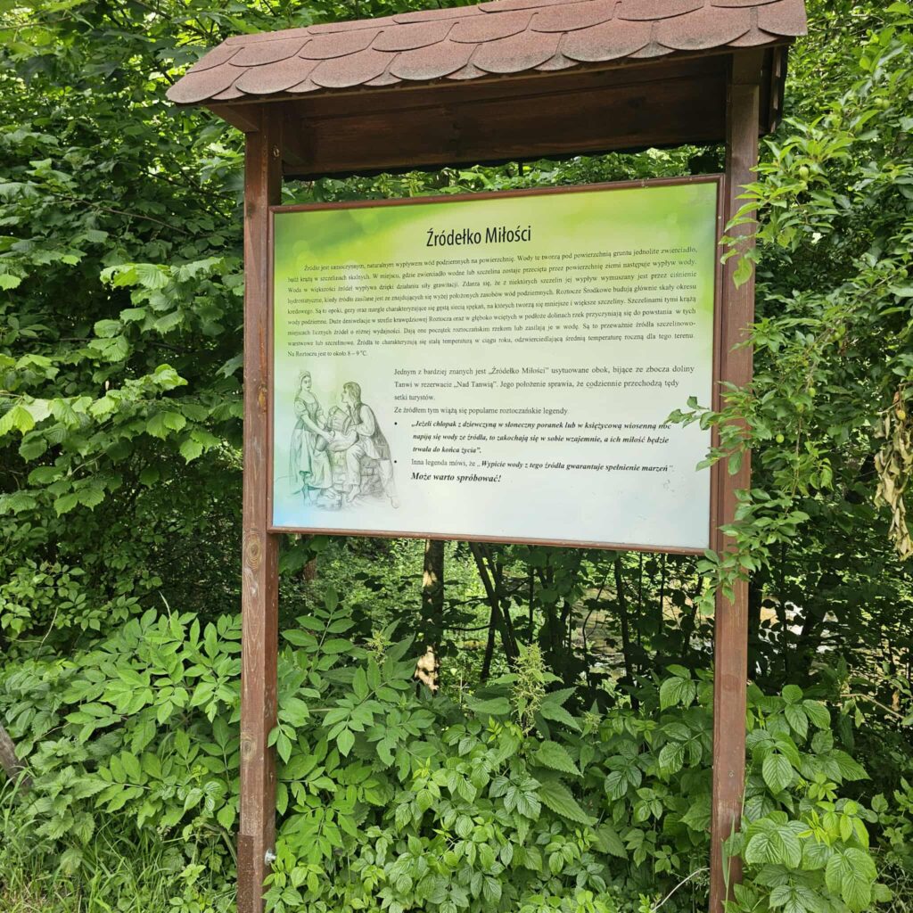 Naturalne źródełko ukryte w lesie, związane z lokalną legendą i miłosnymi rytuałami.