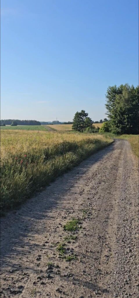 Na trasie Green Velo cisza i ogrom przestrzeni.