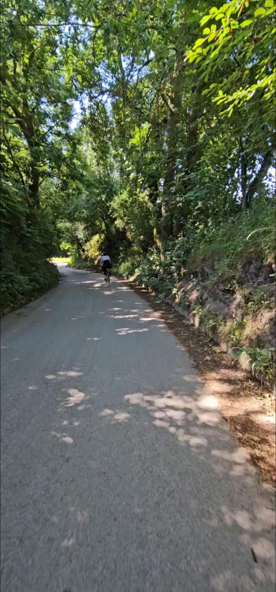 rowerowa ścieżka w lekkim wąwozie