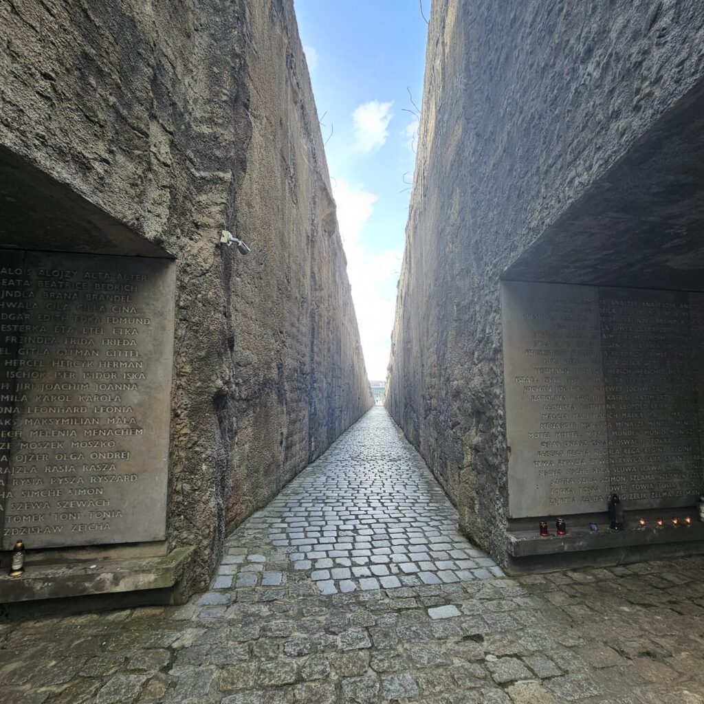 Jesienny krajobraz Roztocza – okolice Bełżca