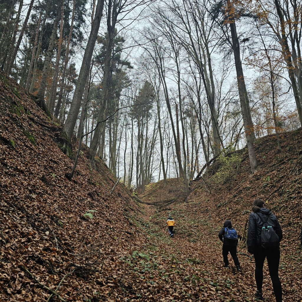 Wąwozy w okolicy Hytty na Wyspie – spokojne i nieodkryte