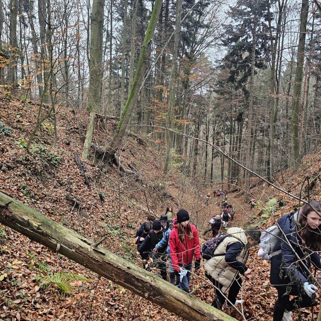 Trasa rajdu pieszego 9 km od Hytty – jesienny pejzaż