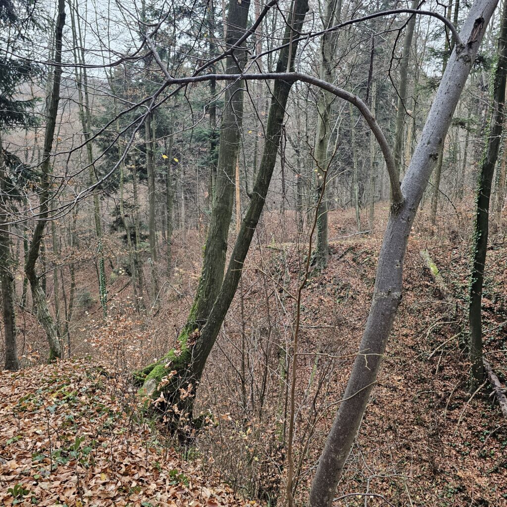 Uczestnicy rajdu pieszego w Szczebrzeszynie podczas podejścia w Kawęczynie