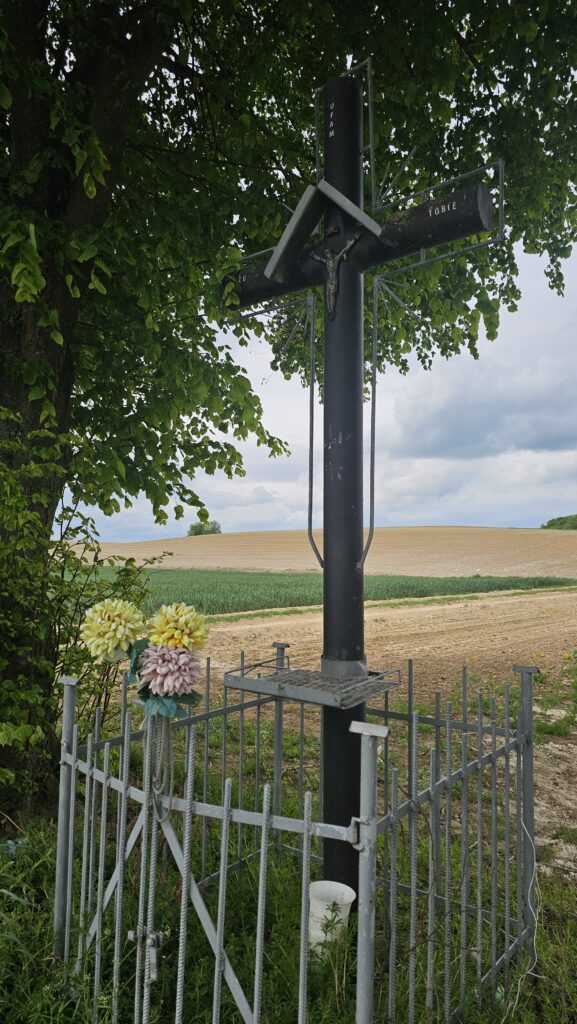 Przydrożny krzyż na roztoczańskiej trasie

