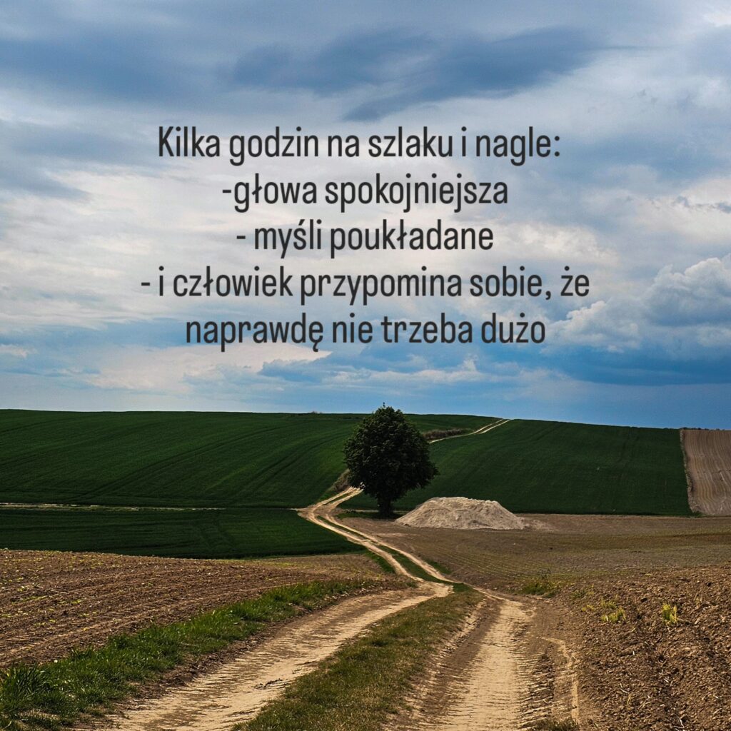 Roztocze natura cisza spacer szlak  